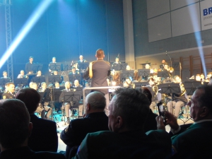 DAN SUVERENOSTI - Medvode 2025