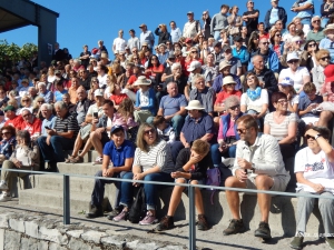 Primorska za vedno Lipica 2026