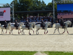 Primorska za vedno Lipica 2026