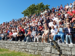 Primorska za vedno Lipica 2026