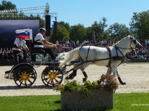 Primorska za vedno Lipica 2026